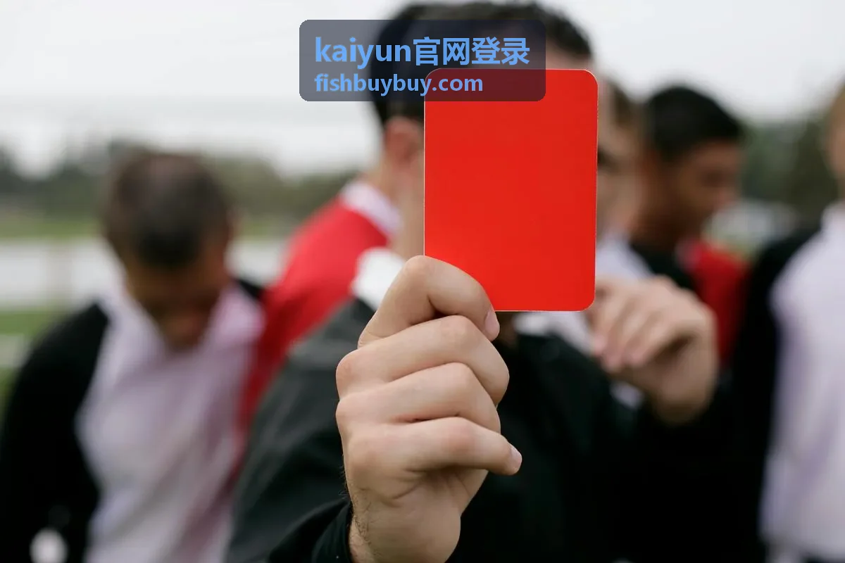 kaiyun官网登录 入口地址核对界面示意