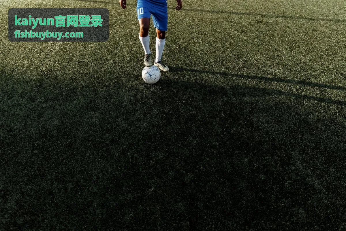 kaiyun官网登录 验证方式选择示意
