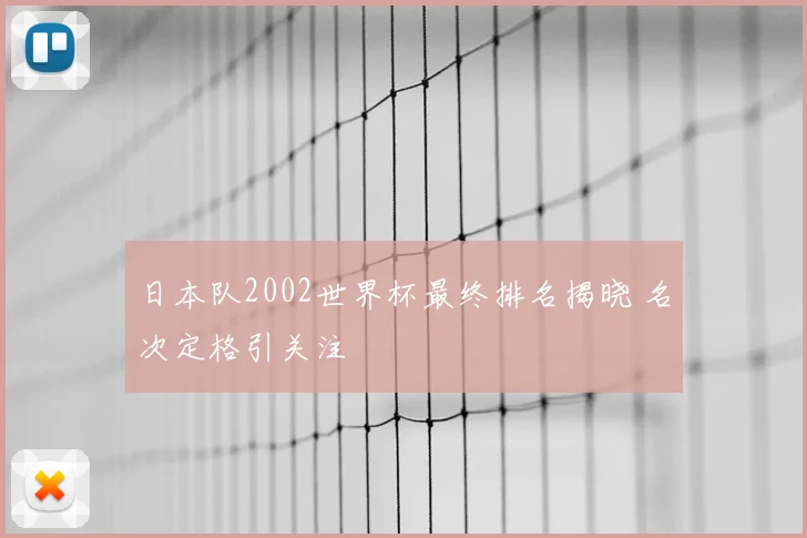 日本队2002世界杯最终排名揭晓 名次定格引关注