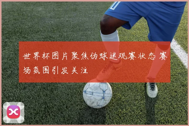 世界杯图片聚焦伪球迷观赛状态 赛场氛围引发关注