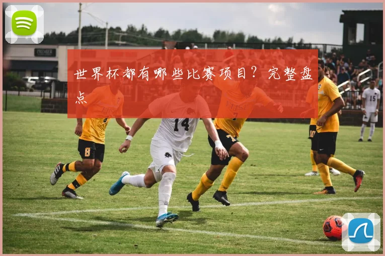 世界杯都有哪些比赛项目？完整盘点